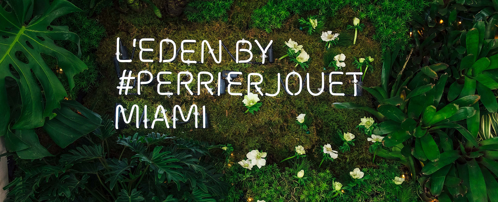 CRIATIVA DA DESIGN MIAMI/2015