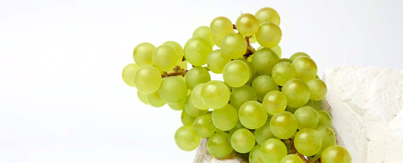 unwavering style grape
